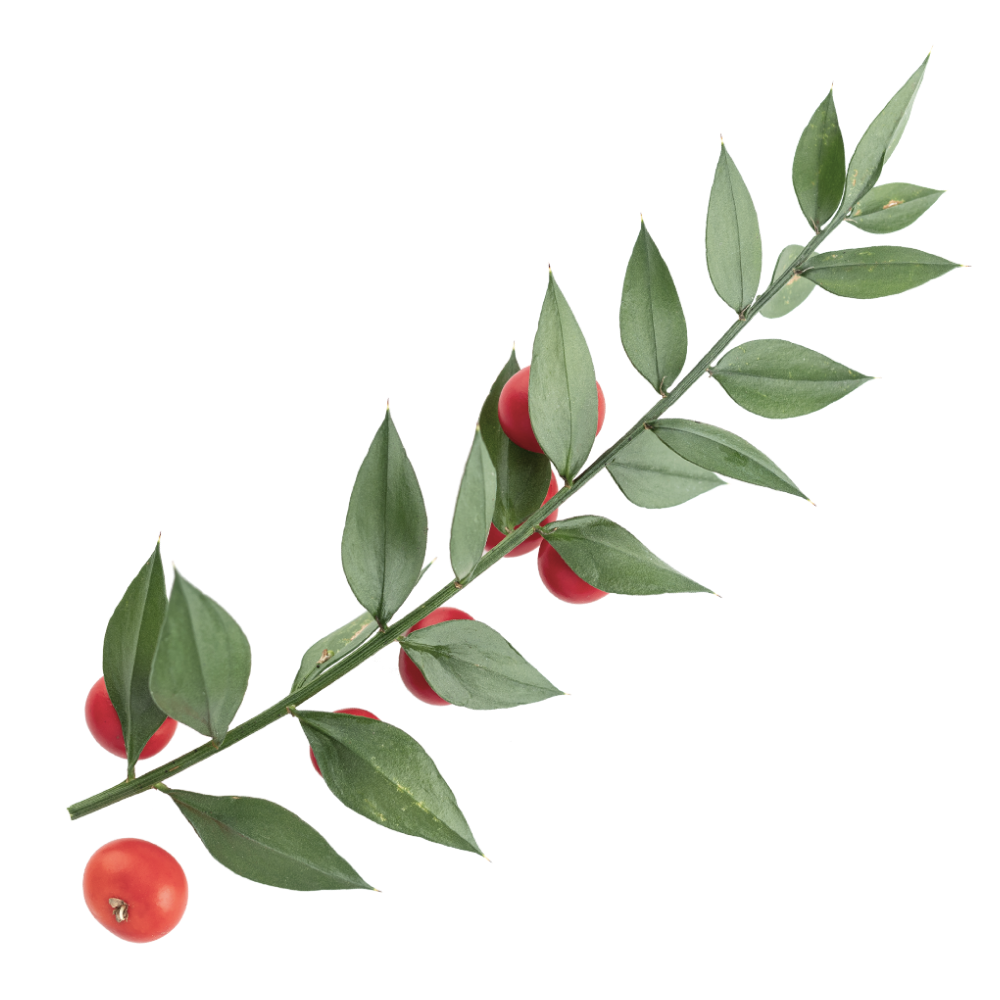 Ekstrakt bodljikave veprine